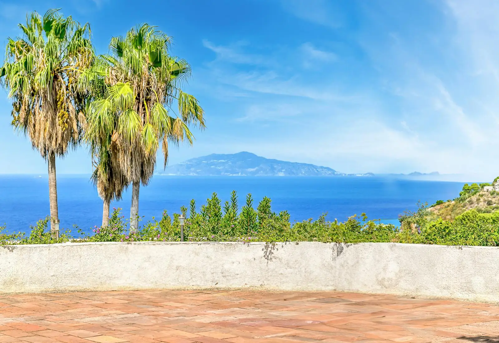 Vista sul mare dal giardino, tra due palme